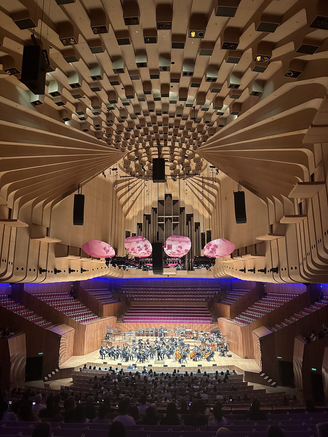 The Sydney Opera House concert hall with the orchestra on stage
