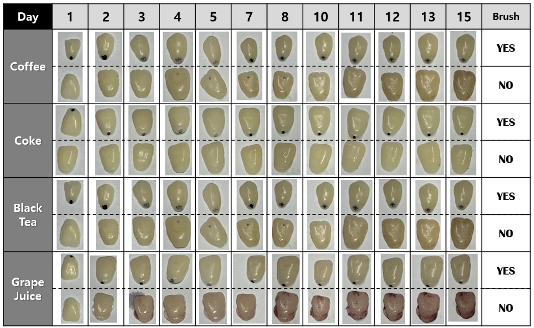 Grid of brushed and unbrushed PMMA specimens in four beverages across 15 days